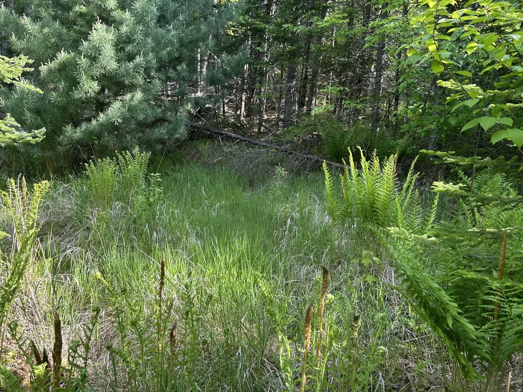 M5L13 Clark Road Prospect ME 04981