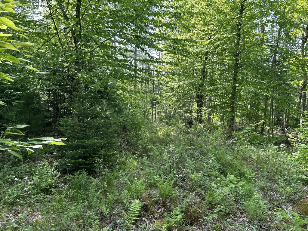 M5L13 Clark Road Prospect ME 04981