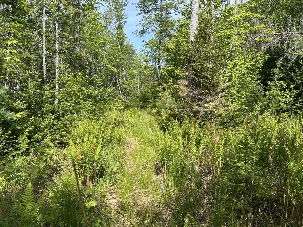 M5L13 Clark Road Prospect ME 04981