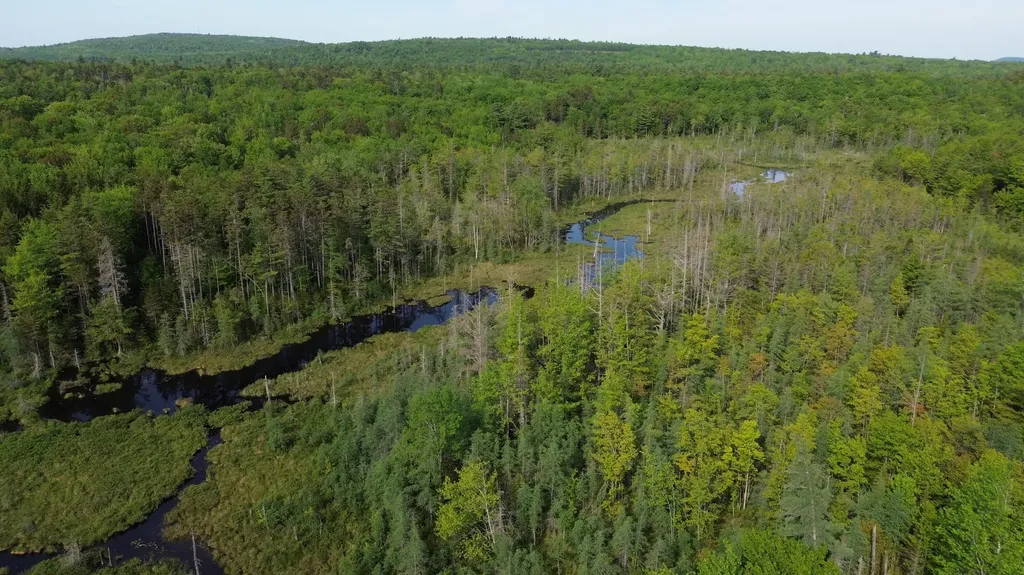 M5L13 Clark Road Prospect ME 04981