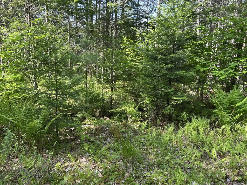 M5L13 Clark Road Prospect ME 04981