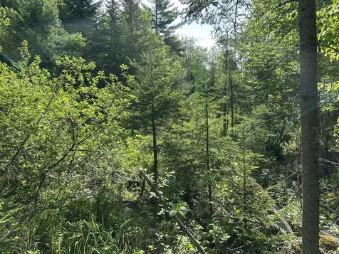 M5L13 Clark Road Prospect ME 04981