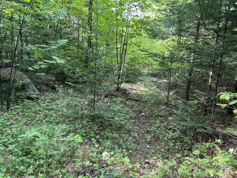 M5L13 Clark Road Prospect ME 04981