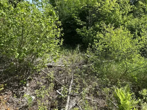 M5L13 Clark Road Prospect ME 04981