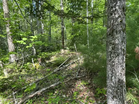 M5L13 Clark Road Prospect ME 04981