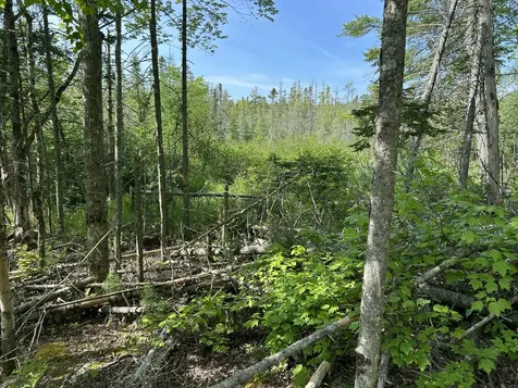 M5L13 Clark Road Prospect ME 04981
