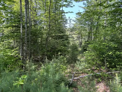 M5L13 Clark Road Prospect ME 04981