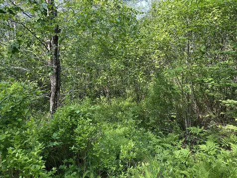 M5L13 Clark Road Prospect ME 04981