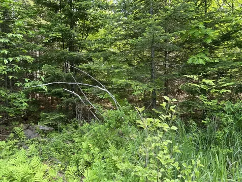M5L13 Clark Road Prospect ME 04981