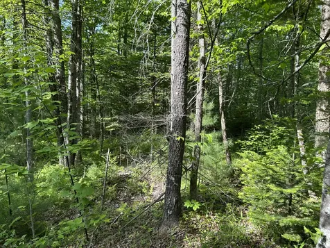 M5L13 Clark Road Prospect ME 04981