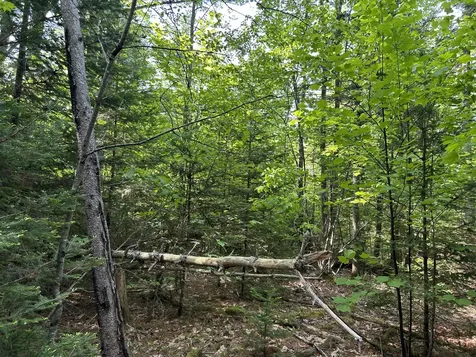 M5L13 Clark Road Prospect ME 04981