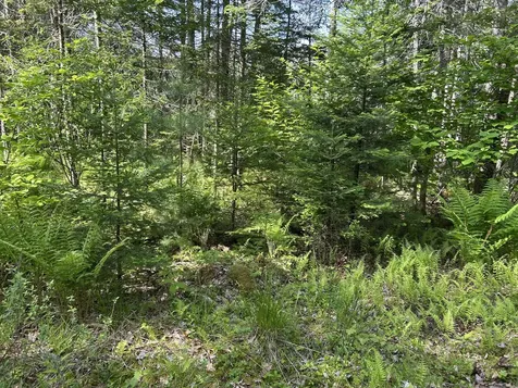 M5L13 Clark Road Prospect ME 04981