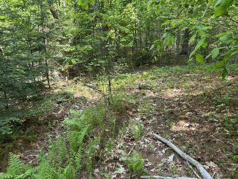 M5L13 Clark Road Prospect ME 04981