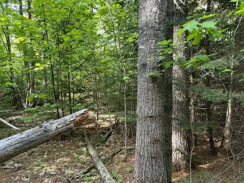 M5L13 Clark Road Prospect ME 04981