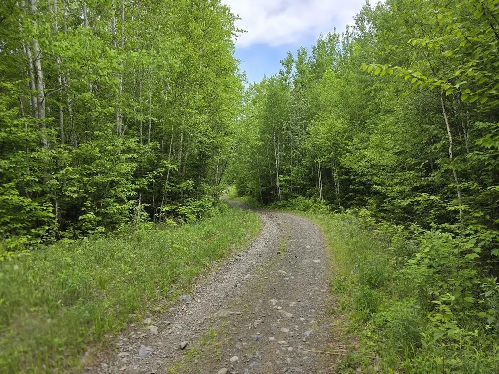 M 22 L 44a Beaver Dam Point Road Extension Island Falls ME 04747
