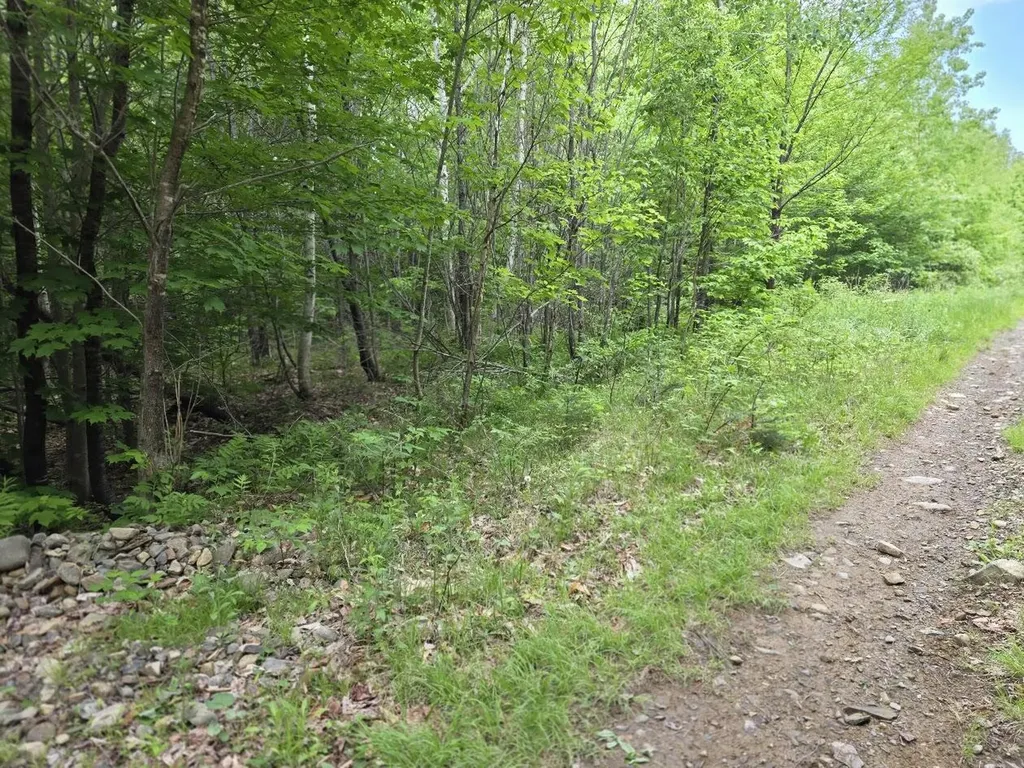 M 22 L 44a Beaver Dam Point Road Extension Island Falls ME 04747