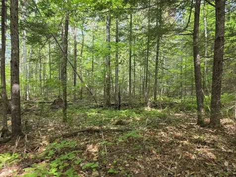 M 22 L 44a Beaver Dam Point Road Extension Island Falls ME 04747