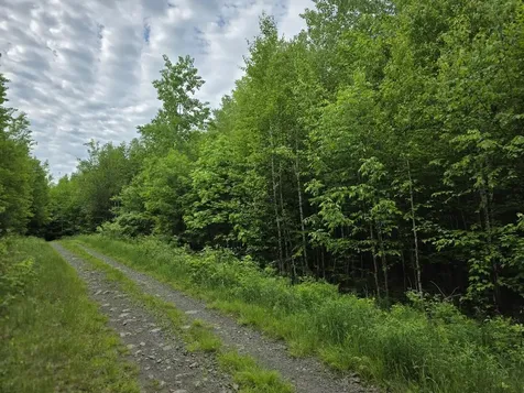 M 22 L 44a Beaver Dam Point Road Extension Island Falls ME 04747