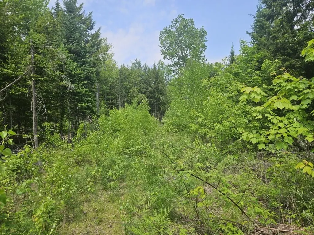 P/o 2016 Hudson Road Hudson ME 04449