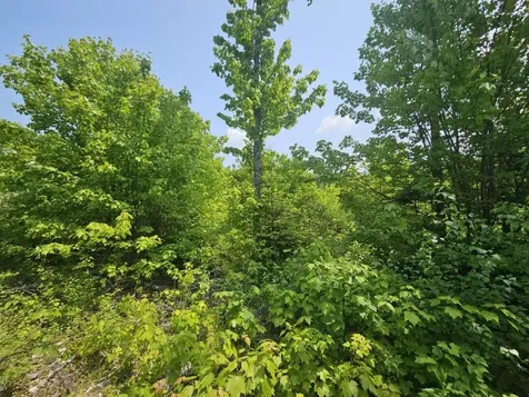 P/o 2016 Hudson Road Hudson ME 04449