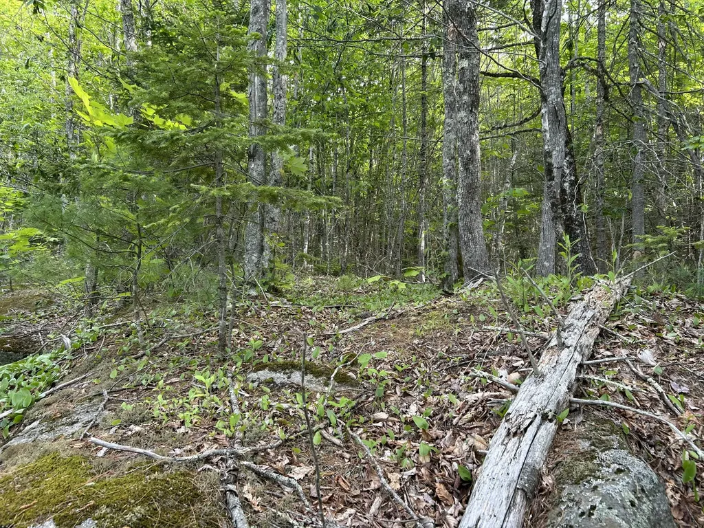 M5L16 Clark Road Prospect ME 04981