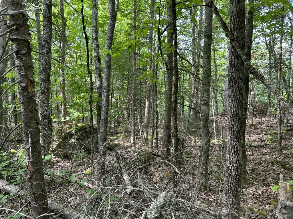 M5L16 Clark Road Prospect ME 04981