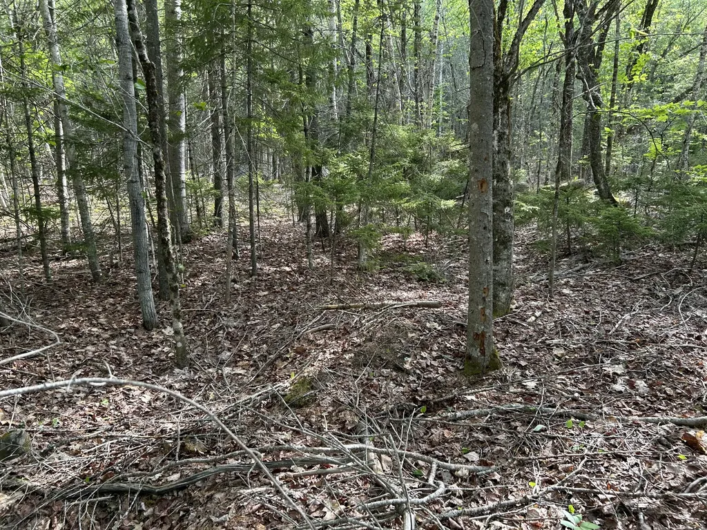 M5L16 Clark Road Prospect ME 04981