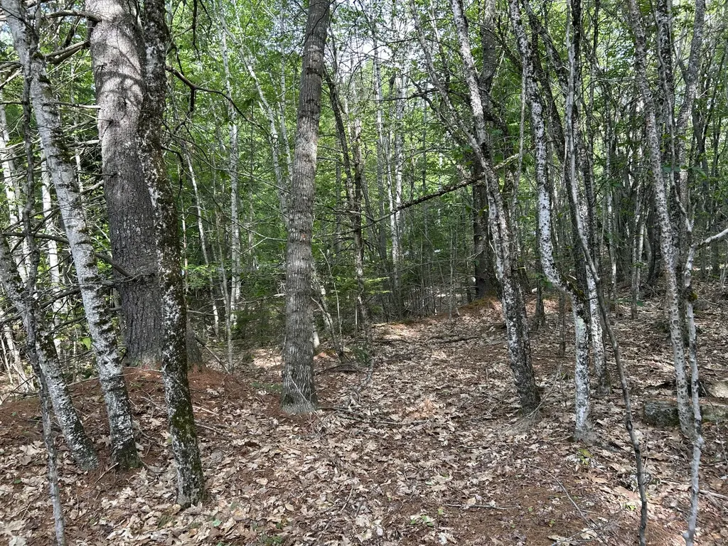 M5L16 Clark Road Prospect ME 04981