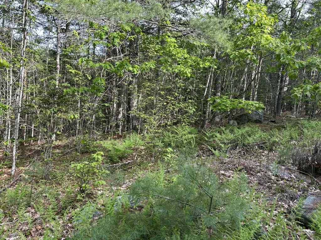 M5L16 Clark Road Prospect ME 04981