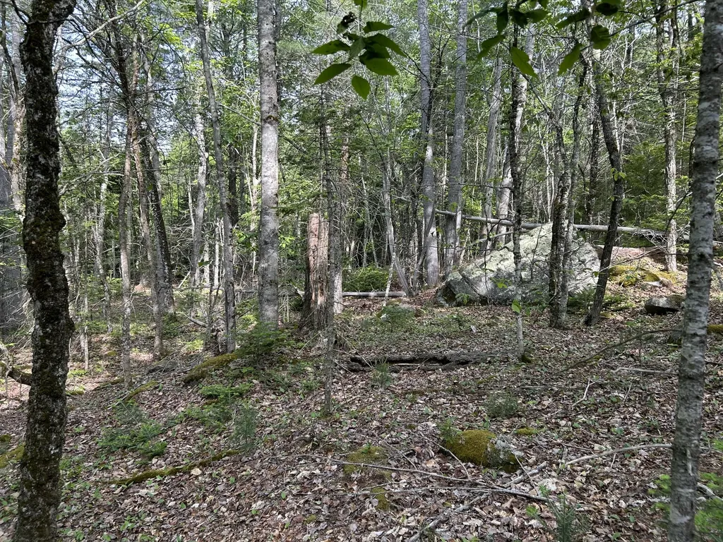M5L16 Clark Road Prospect ME 04981