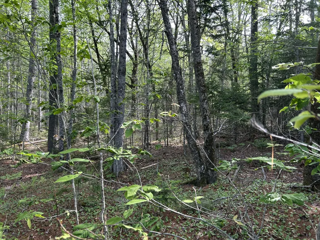M5L16 Clark Road Prospect ME 04981