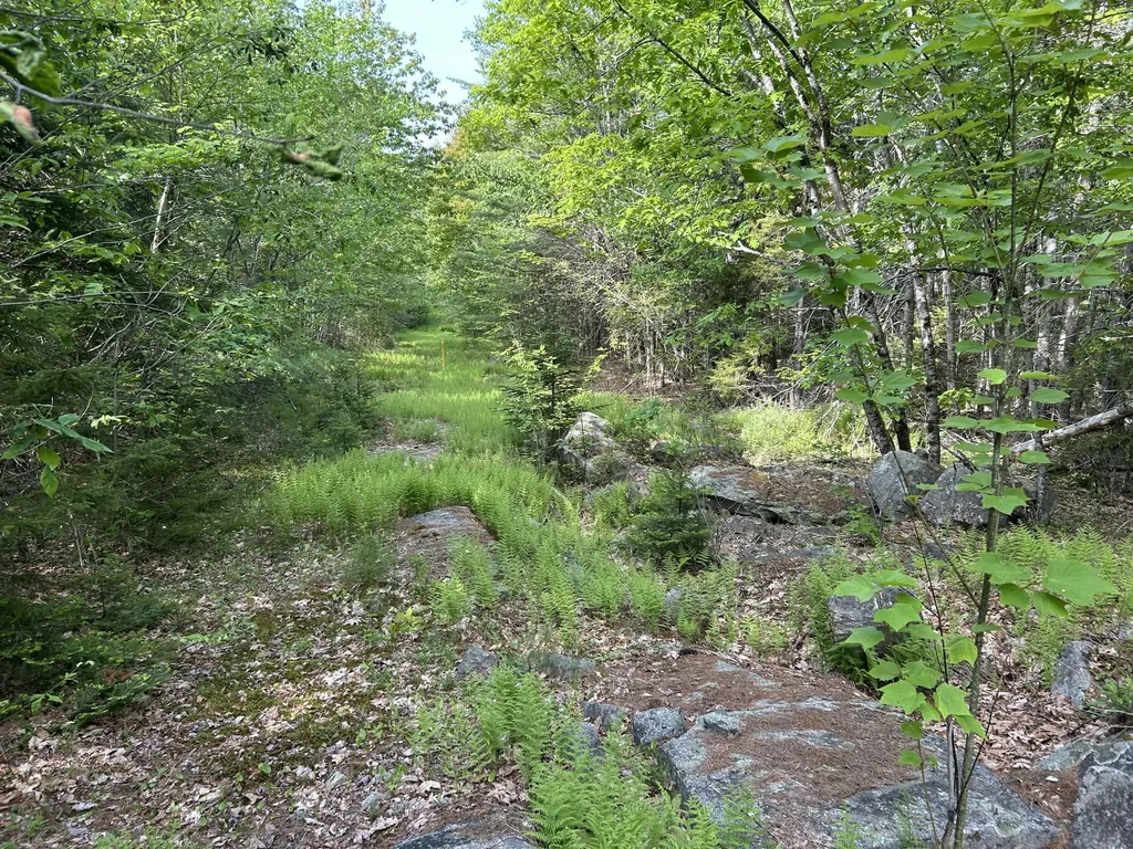 M5L16 Clark Road Prospect ME 04981