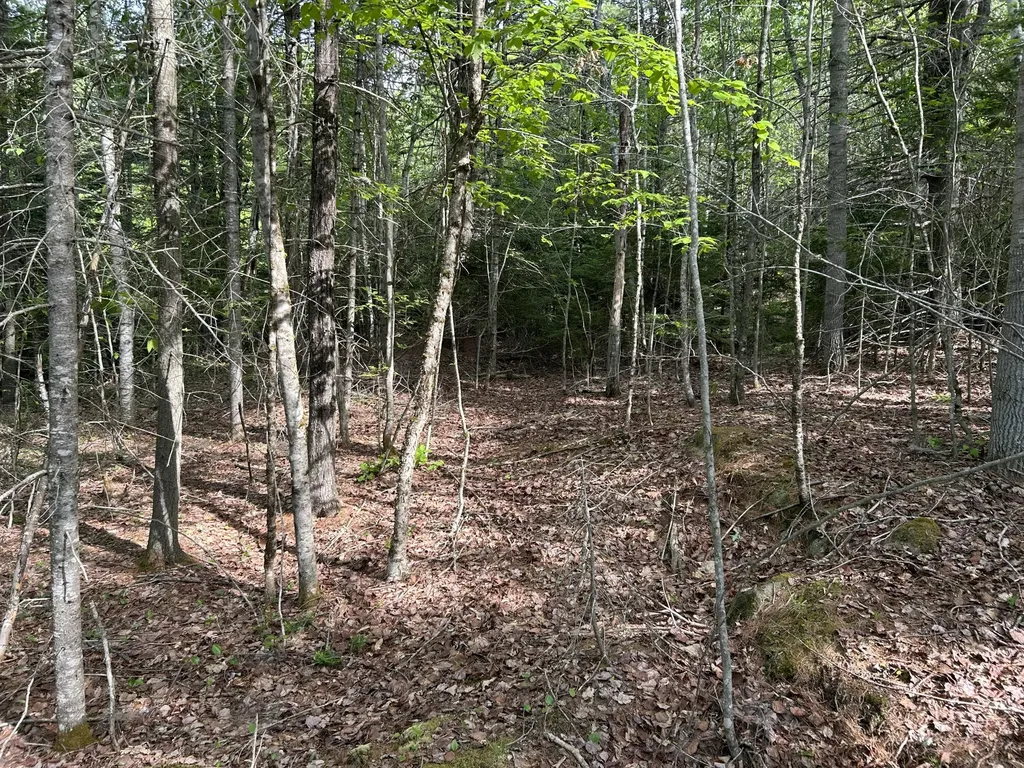 M5L16 Clark Road Prospect ME 04981