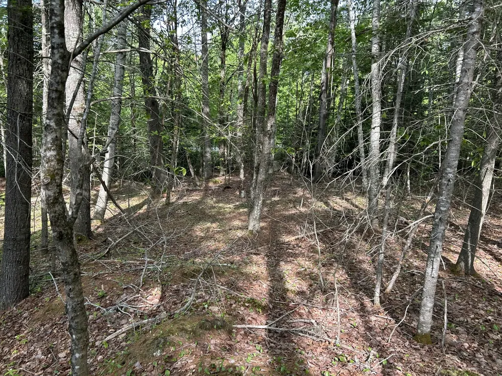 M5L16 Clark Road Prospect ME 04981