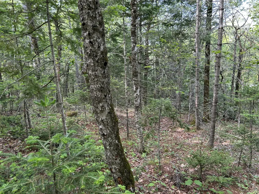 M5L16 Clark Road Prospect ME 04981