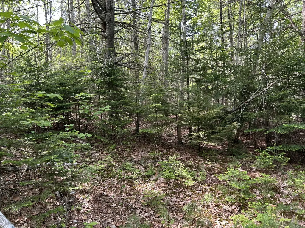 M5L16 Clark Road Prospect ME 04981