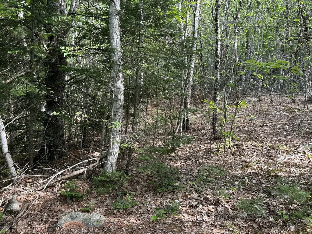 M5L16 Clark Road Prospect ME 04981