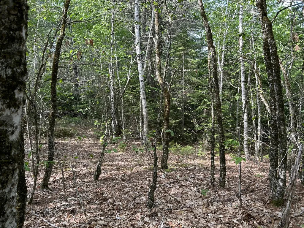 M5L16 Clark Road Prospect ME 04981