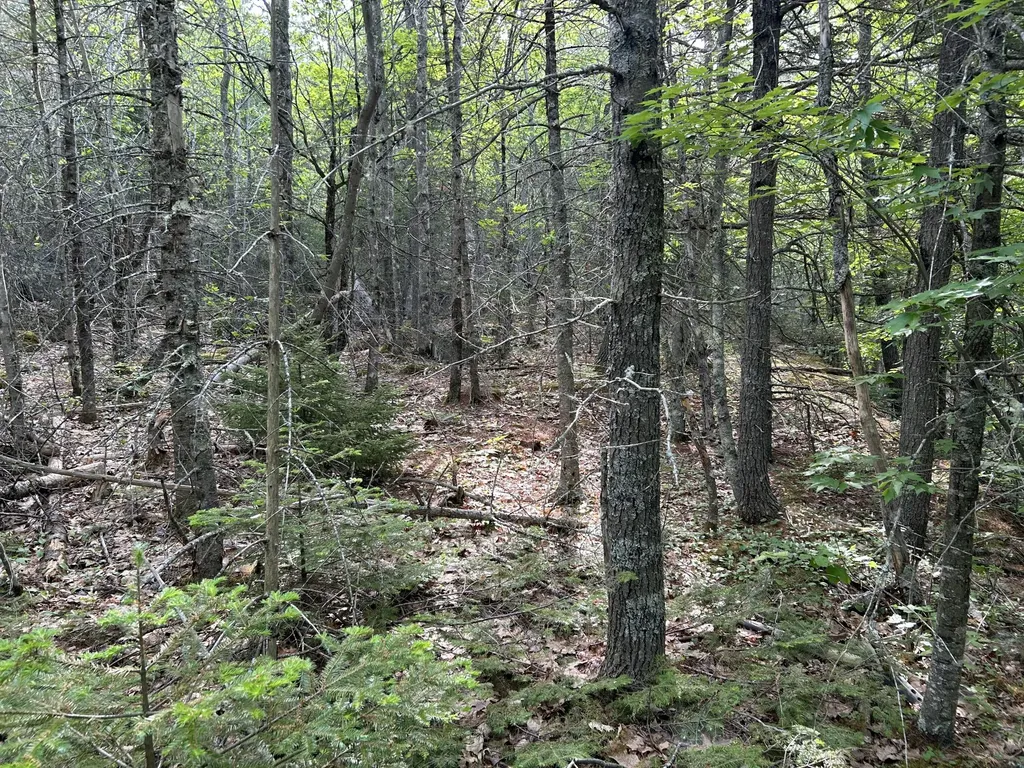 M5L16 Clark Road Prospect ME 04981