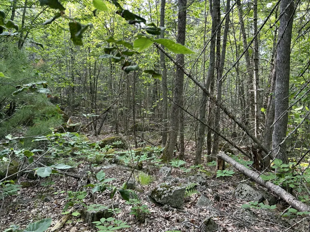 M5L16 Clark Road Prospect ME 04981