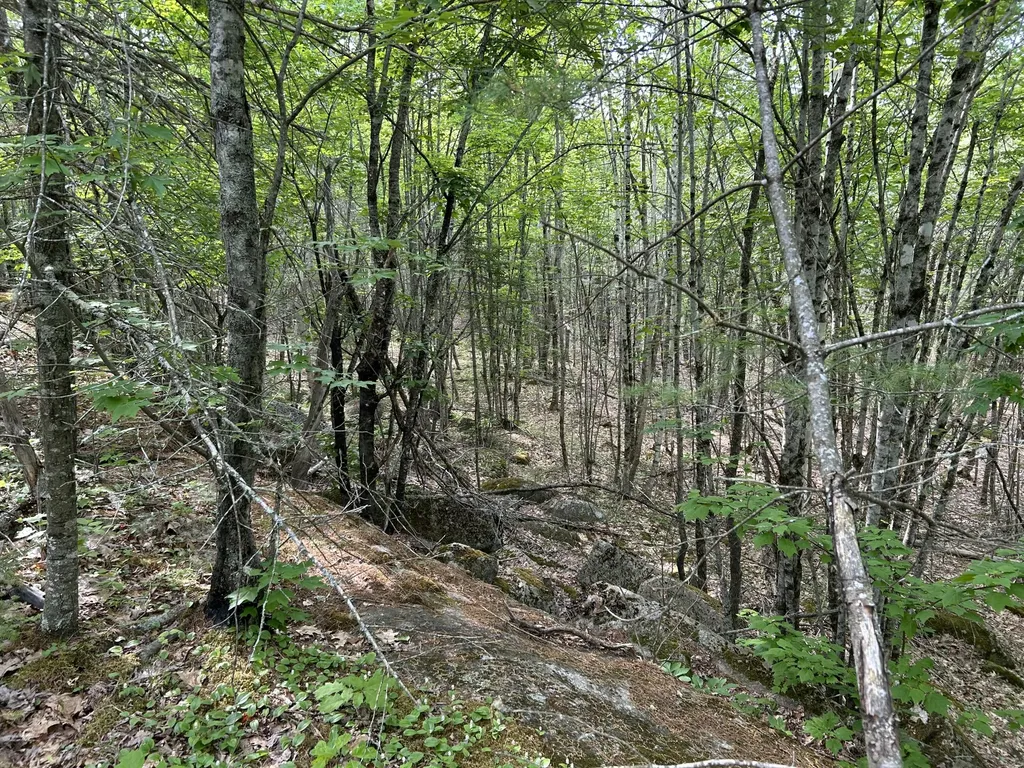 M5L16 Clark Road Prospect ME 04981