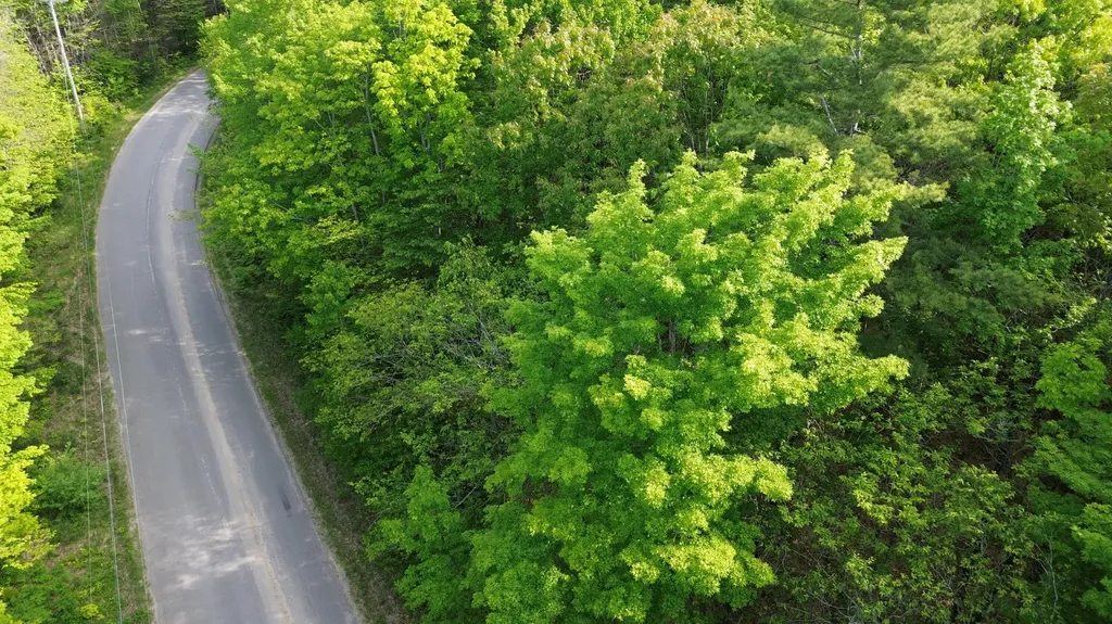 M5L16 Clark Road Prospect ME 04981