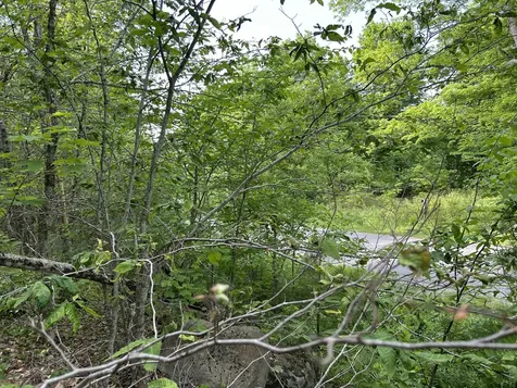 M5L16 Clark Road Prospect ME 04981