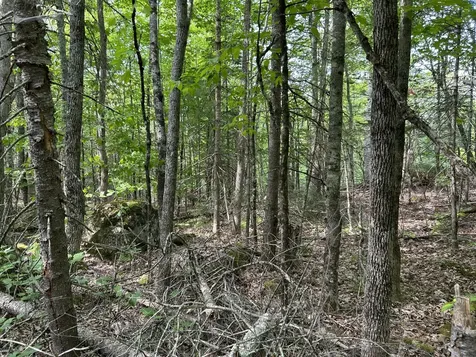 M5L16 Clark Road Prospect ME 04981