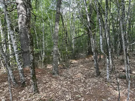 M5L16 Clark Road Prospect ME 04981