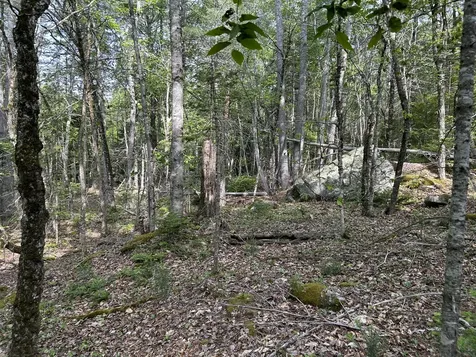 M5L16 Clark Road Prospect ME 04981