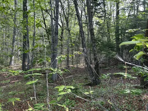M5L16 Clark Road Prospect ME 04981
