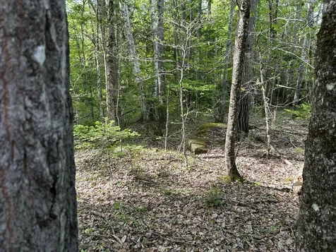 M5L16 Clark Road Prospect ME 04981