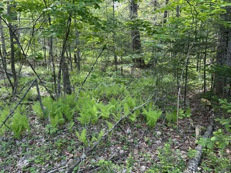 M5L16 Clark Road Prospect ME 04981