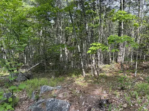 M5L16 Clark Road Prospect ME 04981